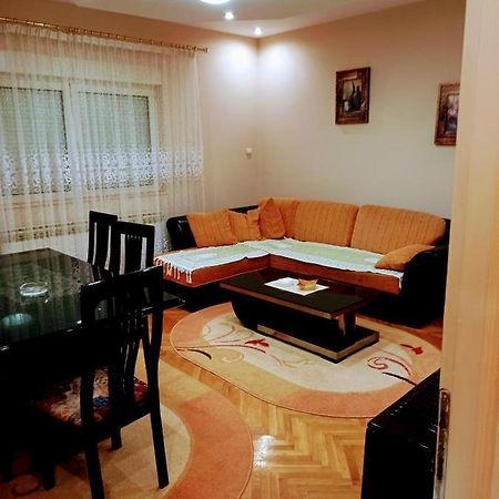 Stan Na Dan J & M Appartement Vrsac Buitenkant foto