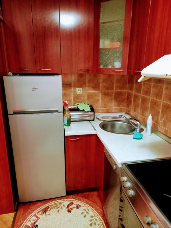 Stan Na Dan J & M Appartement Vrsac Buitenkant foto
