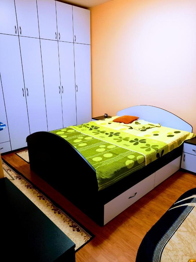 Stan Na Dan J & M Appartement Vrsac Buitenkant foto