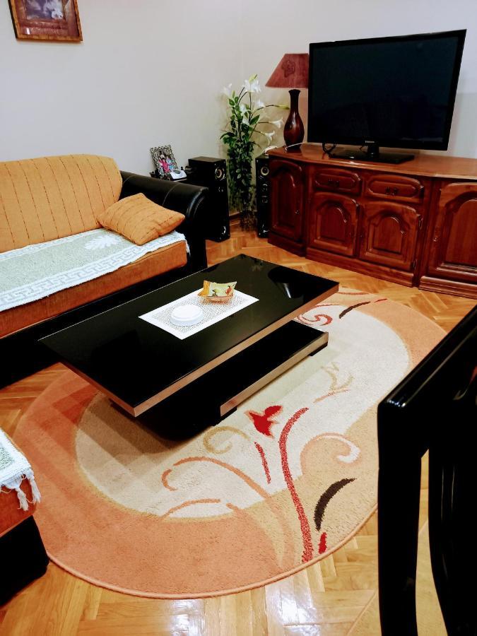 Stan Na Dan J & M Appartement Vrsac Buitenkant foto
