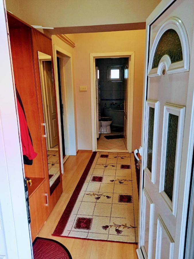Stan Na Dan J & M Appartement Vrsac Buitenkant foto