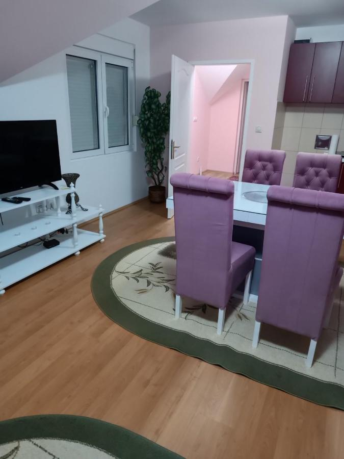 Stan Na Dan J & M Appartement Vrsac Buitenkant foto