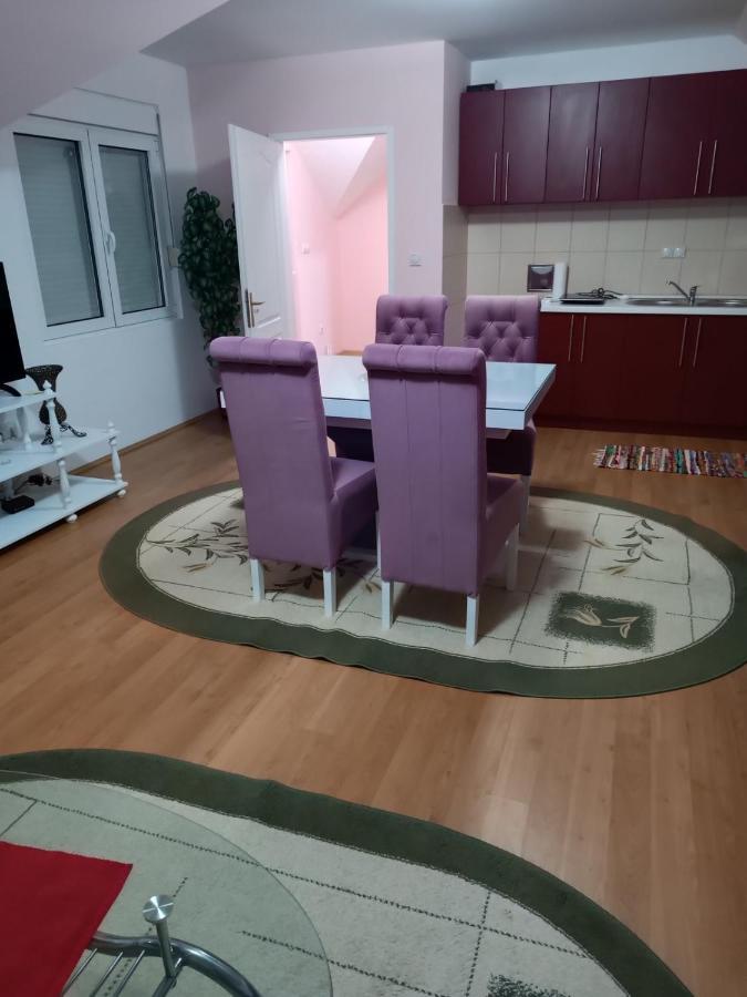 Stan Na Dan J & M Appartement Vrsac Buitenkant foto