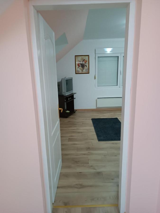 Stan Na Dan J & M Appartement Vrsac Buitenkant foto