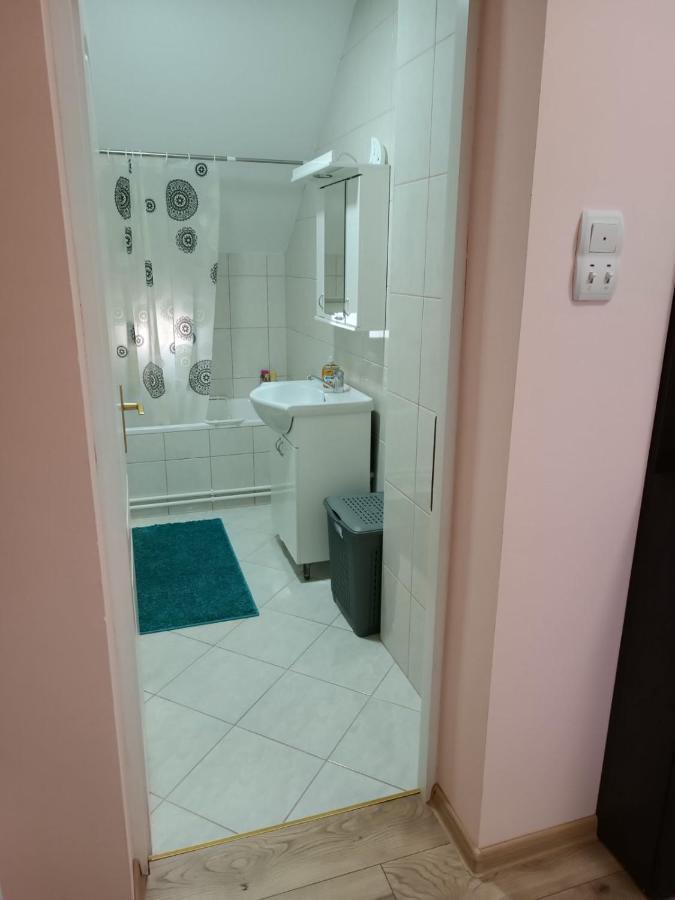 Stan Na Dan J & M Appartement Vrsac Buitenkant foto