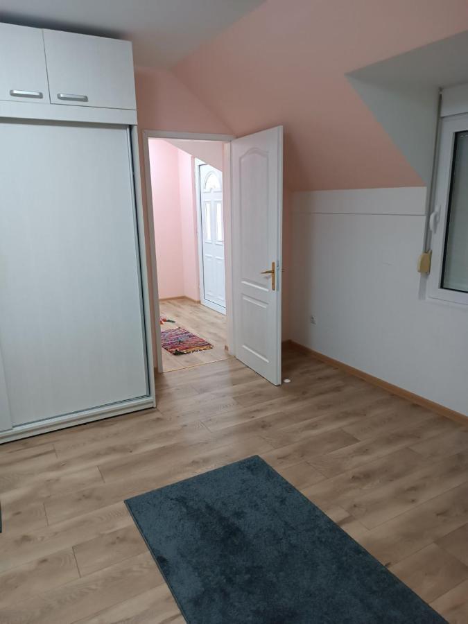 Stan Na Dan J & M Appartement Vrsac Buitenkant foto