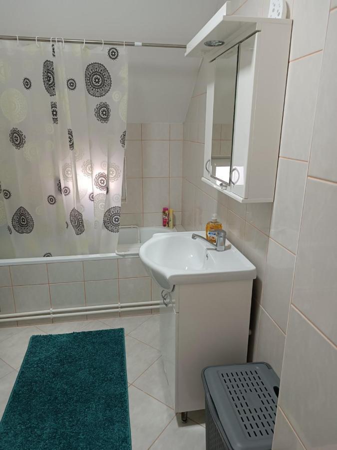 Stan Na Dan J & M Appartement Vrsac Buitenkant foto