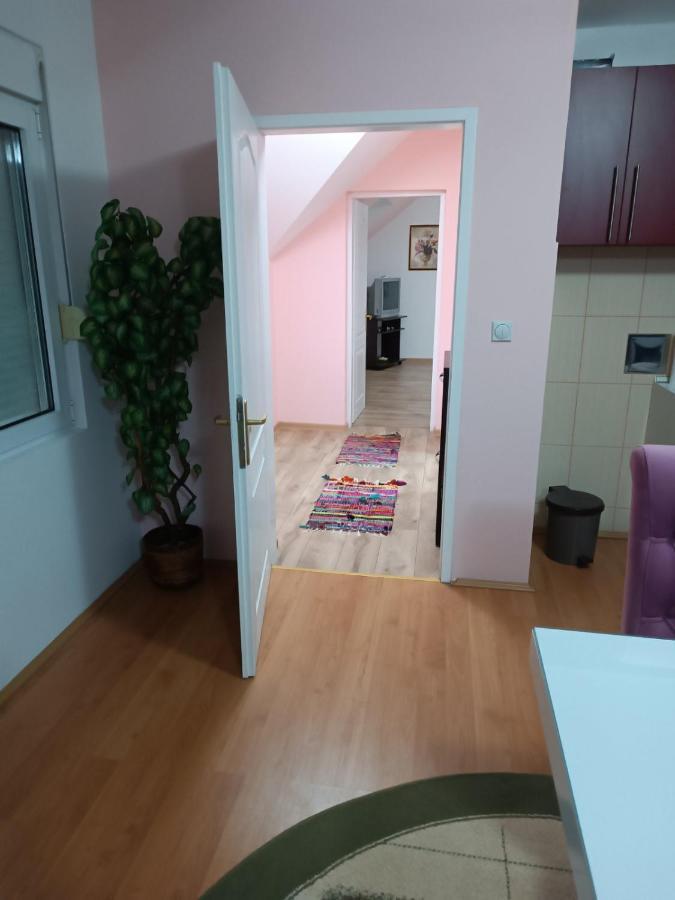 Stan Na Dan J & M Appartement Vrsac Buitenkant foto